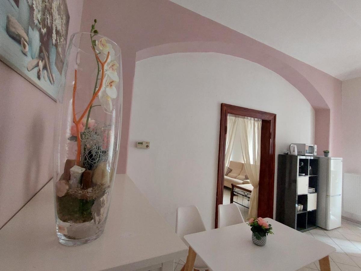 Exkluzivni Apartman V Prizemi V Hradci Kralove Hradec Králové Exterior foto